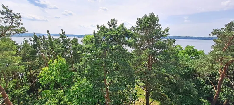 Muziejaus sodyba tarp medžių
